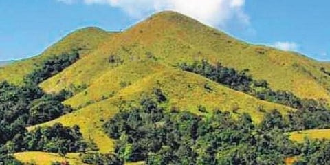 ಸಾಂದರ್ಭಿಕ ಚಿತ್ರ
