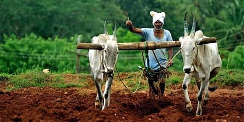 ಸಂಗ್ರಹ ಚಿತ್ರ