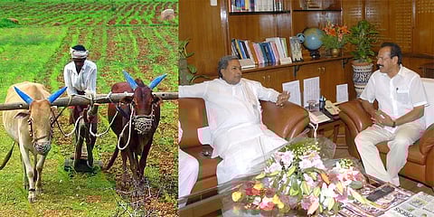 ಸಂಗ್ರಹ ಚಿತ್ರ