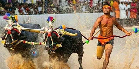 ಕಂಬಳದಲ್ಲಿ ಮತ್ತೊಬ್ಬ ವೇಗದ ಓಟಗಾರ: ಶ್ರೀನಿವಾಸ್ ಗೌಡರ ದಾಖಲೆ ಮುರಿದ ನಿಶಾಂತ್ ಶೆಟ್ಟಿ!