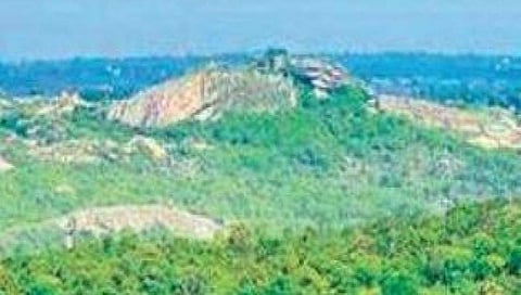 ಬನ್ನೇರುಘಟ್ಟ ಉದ್ಯಾನವನವನ್ನು ಸೂಕ್ಷ್ಮ ವಲಯವಾಗಿ ಕೂಡಲೇ ಘೋಷಿಸಿ: ಬಿ ಎಸ್ ಯಡಿಯೂರಪ್ಪ ಕೇಂದ್ರಕ್ಕೆ ಪತ್ರ  
