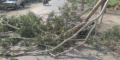 ಸಂಗ್ರಹ ಚಿತ್ರ