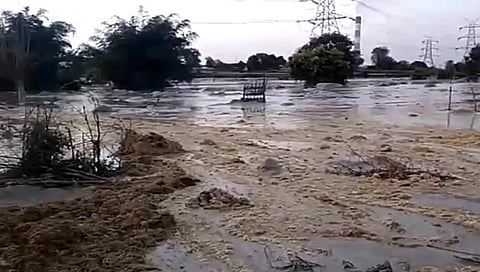 ವಿಷಕಾರಿ ತ್ಯಾಜ್ಯ