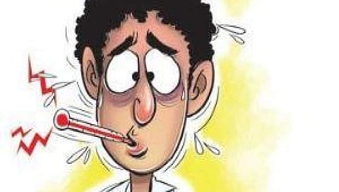 ಸಂಗ್ರಹ ಚಿತ್ರ