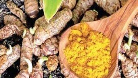 ಕೊರೋನಾ ಸೋಂಕಿಗೆ 'ಅರಶಿನ' ಒಳ್ಳೆ ಮದ್ದು: ಮಾರುಕಟ್ಟೆಯಲ್ಲಿ ಹೆಚ್ಚಿದ ಬೇಡಿಕೆ, ರೈತರಲ್ಲಿ ಸಂತಸ