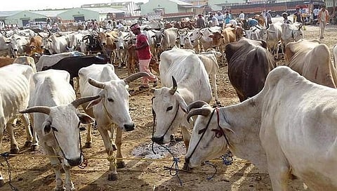 ಸಂಗ್ರಹ ಚಿತ್ರ