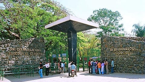 ಮೈಸೂರು ಮೃಗಾಲಯ