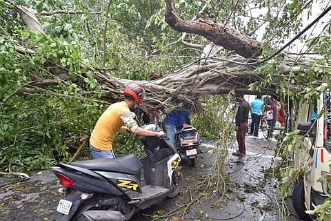 ಸಂಗ್ರಹ ಚಿತ್ರ