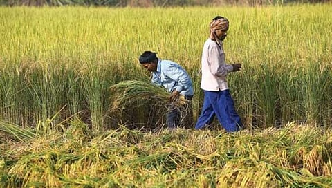 ಸಂಗ್ರಹ ಚಿತ್ರ