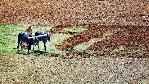 ಸಾಂದರ್ಭಿಕ ಚಿತ್ರ