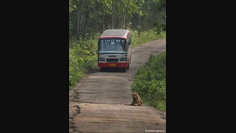 ಹಳೇಯ ಫೋಟೋಗಳು ಮತ್ತೆ ವೈರಲ್