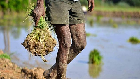 ಸಾಂದರ್ಭಿಕ ಚಿತ್ರ