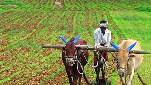 ಸಂಗ್ರಹ ಚಿತ್ರ