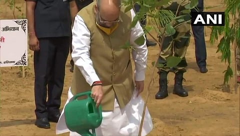 ಗಿಡ ನೆಡುವ ಅಭಿಯಾನಕ್ಕೆ ಗೃಹ ಸಚಿವ ಅಮಿತ್ ಶಾ ಚಾಲನೆ ನೀಡಿದರು.