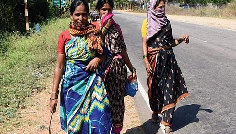 ಹೆಚ್ ಡಿ ಕೋಟೆ ತಾಲ್ಲೂಕಿನಲ್ಲಿ ದಿನಗೂಲಿ ನೌಕರರು