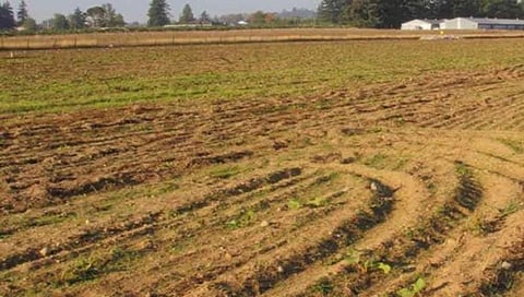 ಸಾಂದರ್ಭಿಕ ಚಿತ್ರ