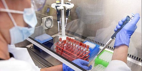 Vaccine (file pic)
