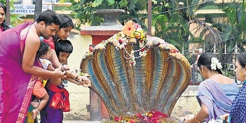 ಸಂಗ್ರಹ ಚಿತ್ರ