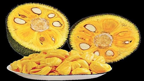 ಸಾಂದರ್ಭಿಕ ಚಿತ್ರ