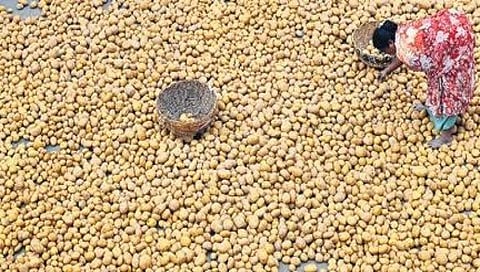 ಸಾಂದರ್ಭಿಕ ಚಿತ್ರ
