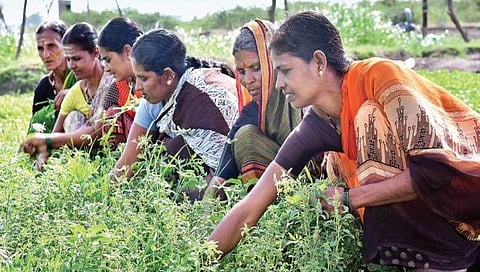 ಸ್ವಸಹಾಯ ಗುಂಪಿನ ಸದಸ್ಯರು(ಸಾಂದರ್ಭಿಕ ಚಿತ್ರ)