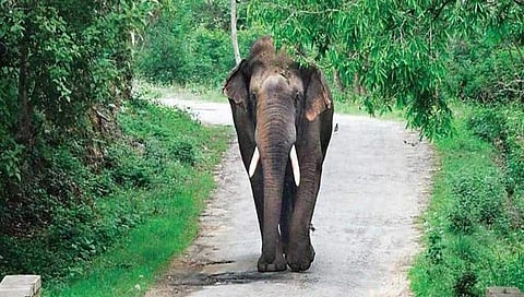 ಸಾಂದರ್ಭಿಕ ಚಿತ್ರ