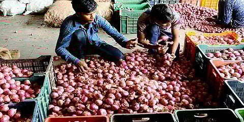 ಈರುಳ್ಳಿ