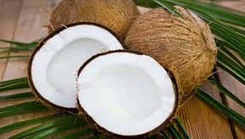 ತೆಂಗಿನಕಾಯಿ
