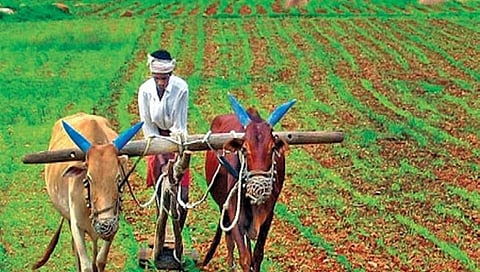 ಕೃಷಿ ಕಾನೂನುಗಳು ಮಾರುಕಟ್ಟೆ ಸ್ವಾತಂತ್ರ್ಯದ ಹೊಸ ಯುಗಕ್ಕೆ ನಾಂದಿ: ಆರ್ಥಿಕ ಸಮೀಕ್ಷೆ