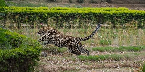 ಸಾಂದರ್ಭಿಕ ಚಿತ್ರ