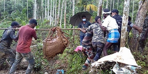 ತುಂಡರಿಸಿದ ಆನೆಯ ಮೃತದೆಹ
