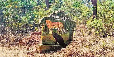 ಹುಲಿಗಣತಿ-ಕಾಳಿ ಮೀಸಲು ಅರಣ್ಯ ಪ್ರದೇಶ