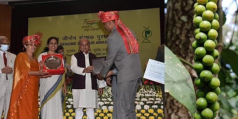 ಪ್ರಶಸ್ತಿ ಸ್ವೀಕರಿಸುತ್ತಿರುವ ನಾಪಂಡ ಪೂಣಚ್ಚ