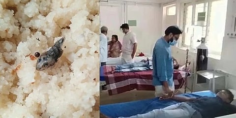 ಉಪಹಾರದಲ್ಲಿ ಹಾವಿನ ಮರಿ ಪತ್ತೆ