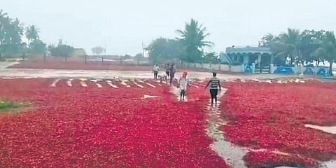 ಸಂಗ್ರಹ ಚಿತ್ರ