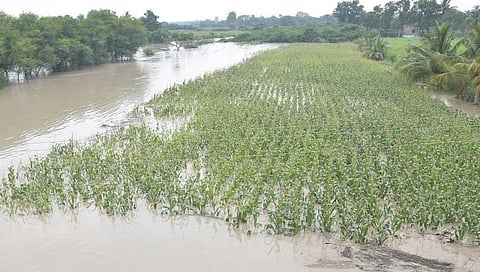 ಸಂಗ್ರಹ ಚಿತ್ರ