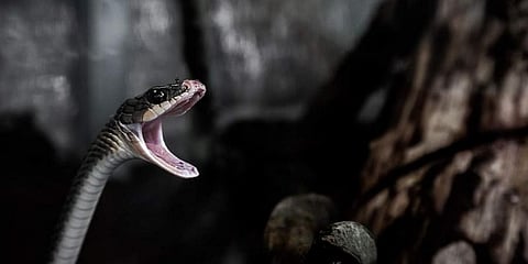 ಸಾಂದರ್ಭಿಕ ಚಿತ್ರ