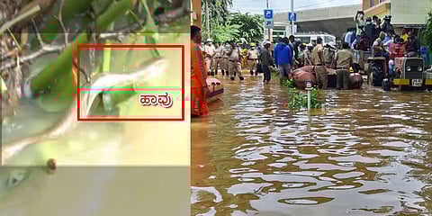 ಸಿಂಗಾಪುರ ಬಡಾವಣೆ ಜಲಾವೃತ