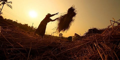 ಸಾಂದರ್ಭಿಕ ಚಿತ್ರ