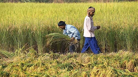 ಸಾಂದರ್ಭಿಕ ಚಿತ್ರ