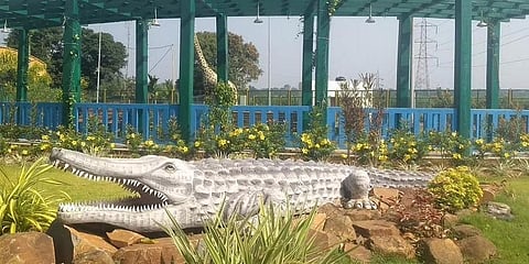 ಕ್ರೊಕೋಡೈಲ್ ವ್ಯೂ ರ‍್ಯಾಂಪ್‌