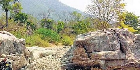 ಎಂಎಂ ಹಿಲ್ಸ್