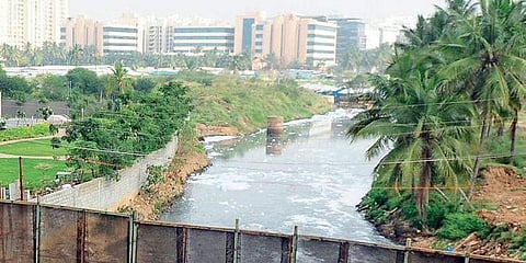 Varthur lake  (File Image)