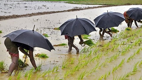 ಸಂಗ್ರಹ ಚಿತ್ರ