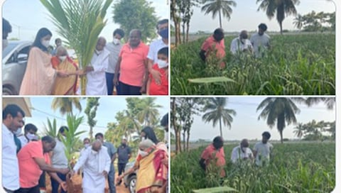 ತೆಂಗಿನ ಸಸಿ ನೆಟ್ಟ ದೇವೇಗೌಡ ದಂಪತಿ