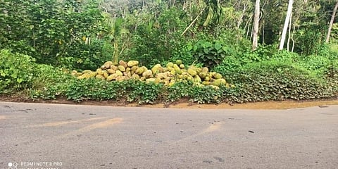 ರಸ್ತೆ ಬದಿಯಲ್ಲಿ ಇರಿಸಲಾಗಿರುವ ಹಲಸಿನ ಹಣ್ಣುಗಳು