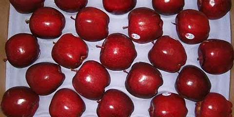 ಆಮದು ಮಾಡಿಕೊಂಡಿರುವ ಹಣ್ಣುಗಳು