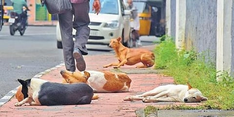 ಸಾಂದರ್ಭಿಕ ಚಿತ್ರ