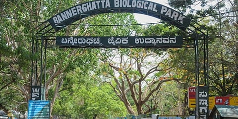 Bannerghatta Biological Park