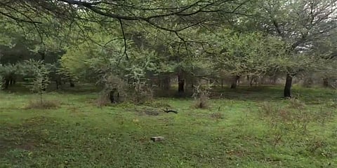 ಸಿಂಗನಾಯಕನಹಳ್ಳಿ ಕೆರೆ ಆವರಣ